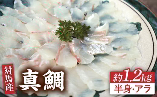 対馬 マダイ 3枚おろし 約1.2kg《対馬市》【海風商事】国産 長崎 九州 刺身 [WAD005]冷蔵 新鮮 鮮度抜群 まだい 半身 刺身 しゃぶしゃぶ 片身 アラ 鯛 たい 刺し身 3枚卸  魚介 鯛しゃぶ 贈り物 お祝い