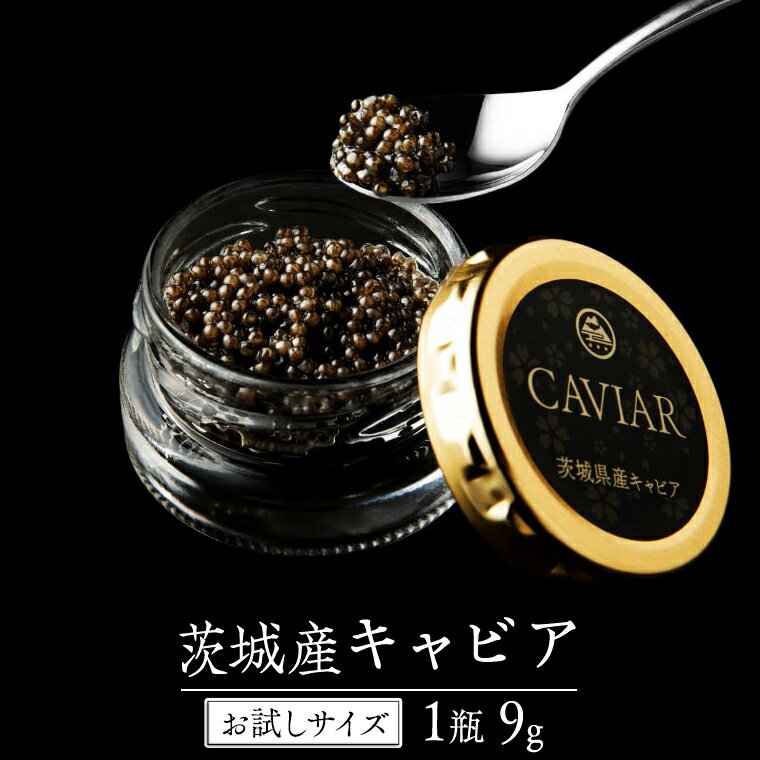 【ふるさと納税】【2025年12月上旬発送開始】 お試し キャビア 9g×1瓶 少量 贅沢 グルメ お正月 クリスマス 高級食材 記念日 誕生日 世界三大珍味 国産キャビア つくばチョウザメ産業