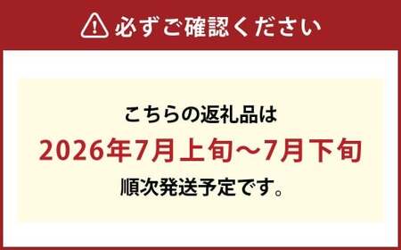清水白桃 3.6キロ【2026年7月上旬～7月下旬まで順次発送予定】