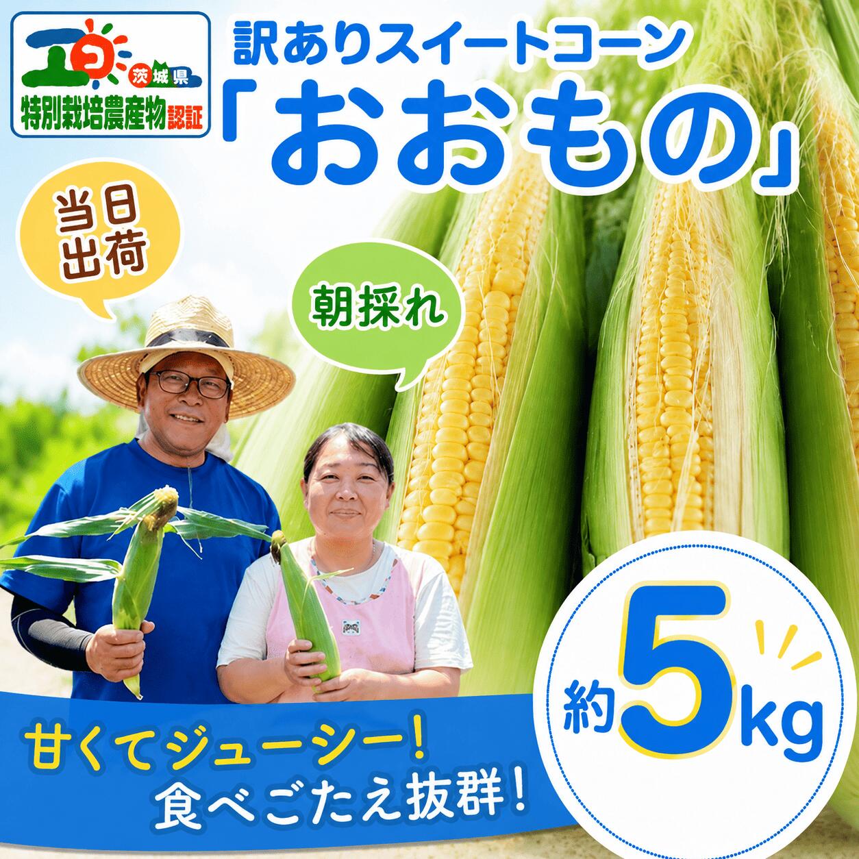 【ふるさと納税】 先行予約 訳あり とうもろこし 約5kg おおもの スイートコーン わけあり 【7月上旬以降発送】 筑西市 トウモロコシ コーン toumorokoshi 茨城県産 新鮮 甘い 糖度 朝どれ 朝採れ みらい 野菜 採れたて野菜 冷蔵 夏野菜 極甘 旬 産地直送 関東 茨城 筑西市
