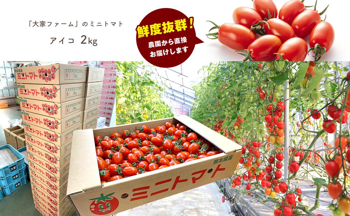 『大家ファーム』のミニトマト アイコ 2kg 熊本県玉名