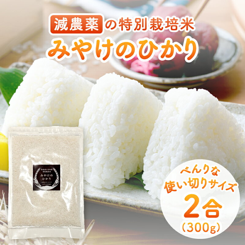 【ふるさと納税】特別栽培米 みやけのひかり 2合 300グラム お試しヒノヒカリ 減農薬米 無農薬米 奈良県 三宅町 国産米 白米 ｢ひのひかり｣ おいしい 冷めても もちもち 安心 おにぎり お弁当