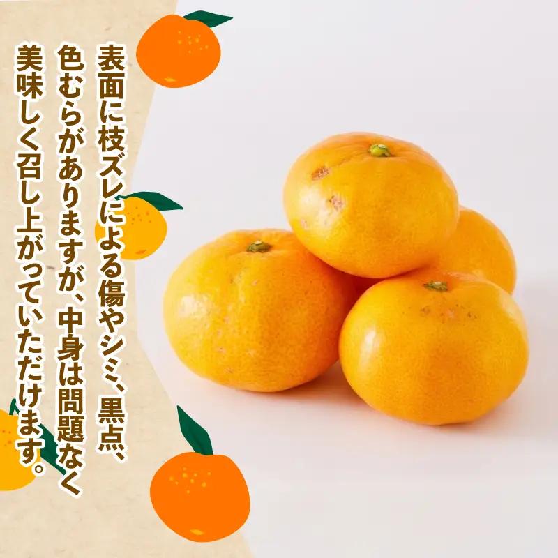 みかん 訳あり 温州みかん 約6kg スーパー山田屋 B010-198001