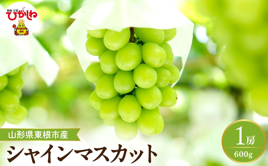 【2026年産先行予約】 シャインマスカット 約600g (1房入) 山形県 東根市 hi026-053