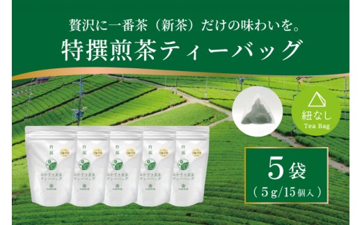 お茶 ティーバッグ 特撰 みやざき煎茶 5袋 セット [谷岩茶舗 宮崎県 日向市 452061735] ティーパック 茶 茶葉 緑茶 新茶 お茶の葉
