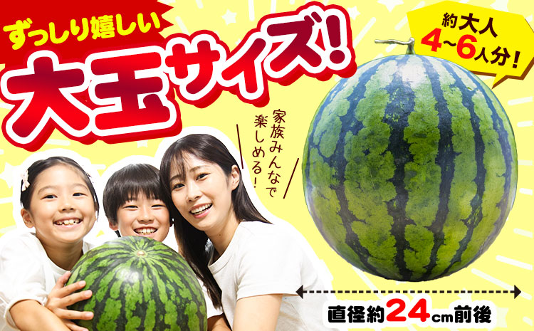 上津深江 大玉すいか 1玉 2L 3L《7月中旬-8月下旬頃出荷》熊本県 苓北町 スイカ 西瓜 大玉 フルーツ 果物 夏 旬 産地直送 夏ギフト くだもの 青果---reihoku_loc_825_1