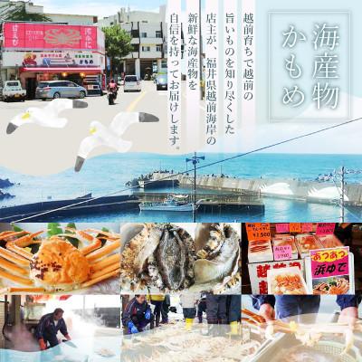 ふるさと納税 越前町 【訳あり】≪浜茹で≫越前がに 小サイズ(生で約400〜600g) × 3杯【3月より順次発送】 |  | 02