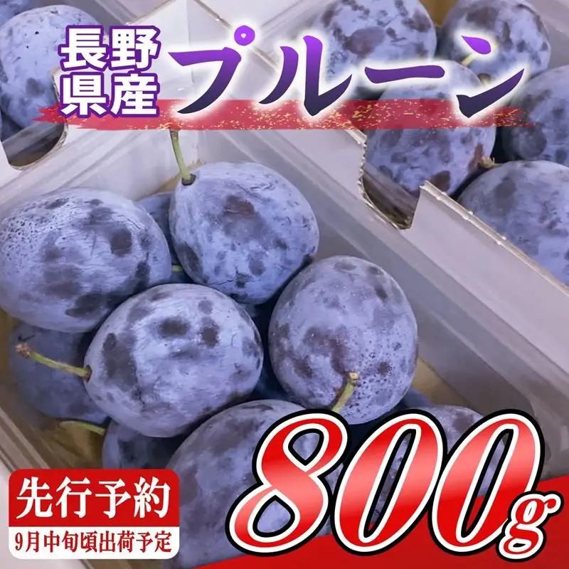 プルーン約800g（400g×2パック）【先行予約・2026年9月上旬～中旬発送】(北海道・沖縄・離島は配送不可)　サンプルーン 果物　フルーツ　くだもの　生プルーン　プルーン栽培発祥の地　信州　長野県　佐久市　産地直送　旬彩