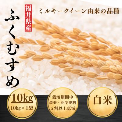 ふるさと納税 小浜市 【令和8年産】福井県産ふくむすめ　精米10kg　11月以降発送　今富の宝