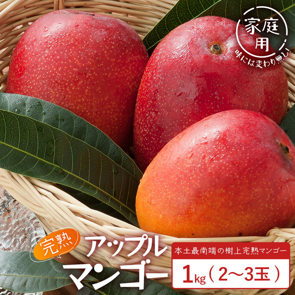 【ふるさと納税】≪マンゴー≫【訳あり】 ☆本土最南端☆佐多の果樹園で育てた 完熟アップルマンゴー1kg (2～3玉) 家庭用｜鹿児島県 南大隅 産地直送 旬 マンゴー フルーツ 果物 くだもの V7409