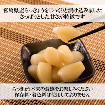 ふるさと納税 三股町 【2ヵ月毎定期便】純国産甘らっきょう(130g×10袋)総量約3.9kg【MI396】全3回 |  | 01