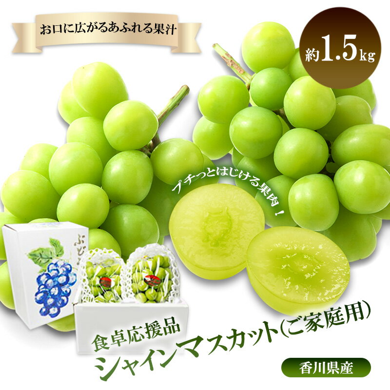 【ふるさと納税】「9月30日までの食卓応援品」　 シャインマスカット 2房～4房（約1.5kg）　お届け：2025年8月中旬～10月中旬まで