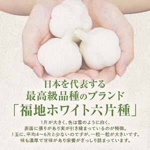 青森県産にんにく 調味料セット 3種類 醤油 七味 にんにく