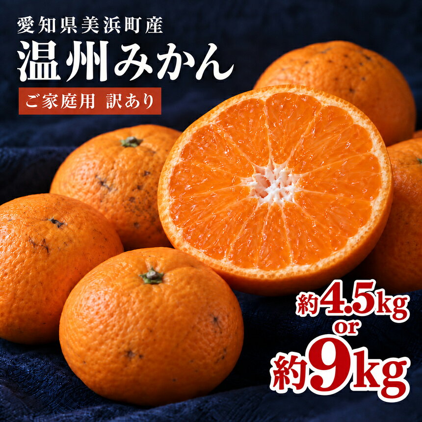 【ふるさと納税】愛知県美浜町産 温州みかん 選べる内容量 約4.5kg・約9kg ご家庭用 訳あり ※2026年11月～12月に発送予定 ※北海道・沖縄・離島への配送不可