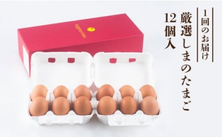 【 卵　定期便12回 】極上恋たまご 卵12個 [JAA006]