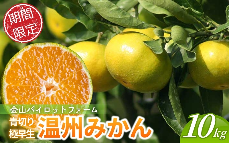 みかん 金山パイロットファームの 温州みかん 10㎏ 極早生(青切り) みかん ミカン 温州みかん 極早生 極早生みかん フルーツ 果物 くだもの 柑橘 産地直送 数量限定 人気 国産 三重県 熊野市【knpr0013A】