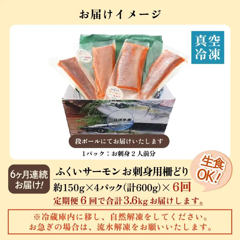 《定期便6回》ふくいサーモン 柵どり 150g×4パック 計600g ＜鮮度抜群！＞ ／サーモン 鮭 [aw002-k001]