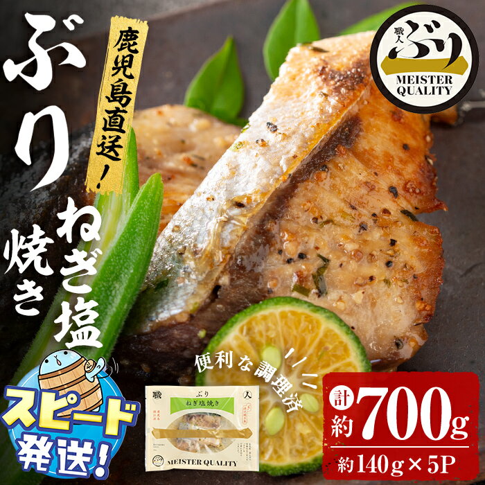 【ふるさと納税】＜すぐ届く！＞鹿児島産冷凍ぶり＜漬け焼き魚＞ねぎ塩焼き(計約700g・約140g×5パック)ぶり ブリ 鰤 魚 魚介 漬 ねぎ塩 ネギ塩 ねぎ ネギ 塩 ガーリック にんにく 惣菜 おかず 国産 鹿児島県産 垂水市産 小分け 冷凍 養殖【アクアブルー】A1-47173