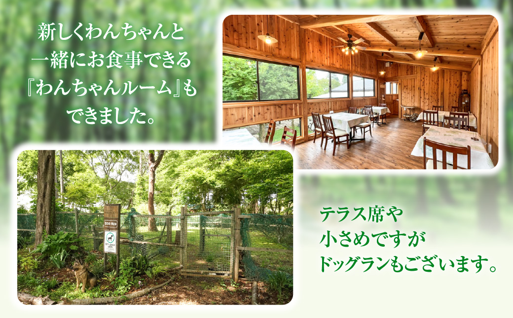 森の中のレストランふらんす屋 お食事券 6,000円分（1,000円分×6枚） ふるさと納税 食事券 チケット 森の中 レストラン テラス ドッグラン わんちゃんルーム 四季 自然 千葉県山武市 SM