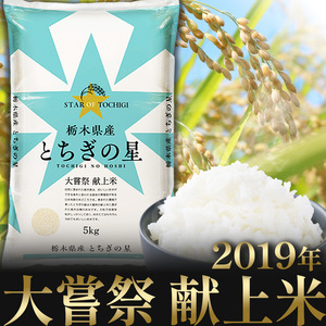 【3回定期便】栃木県産 とちぎの星 10kg | 栃木県 下野市