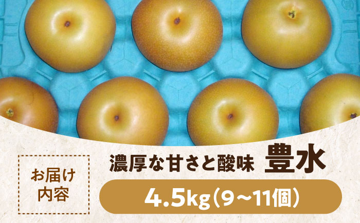 【先行予約】【9月上旬から順次発送】みずみずしくてジューシー！特選 豊水 梨4.5kg（9個から11個入り）　愛媛県大洲市/幸野観光なし園 [AGBD003]梨 ナシ 果物 秋の味覚 フルーツ なし 