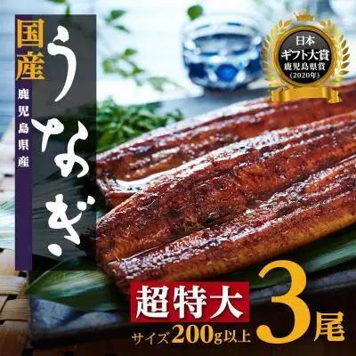 鹿児島県産 長蒲焼 特大3尾（200g以上×3尾）｜うなぎ うなぎ