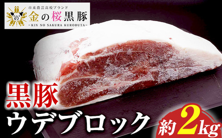 ☆塊肉☆金の桜黒豚 ウデ肉 ブロック 約2kg 鹿児島県産 黒豚 豚肉 ブロック肉 塊肉 とんかつ【A-1831H】