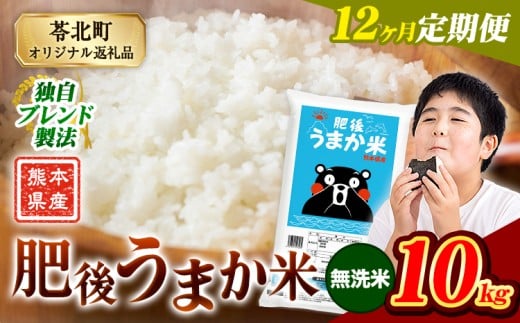 【12か月定期便】米 無洗米 熊本県産 肥後うまか米 10kg(5kg×2袋) 精米 こめ  コメ お米 おこめ ブレンド米《申込月の翌月から出荷開始》熊本県産  コメ お米 おこめ