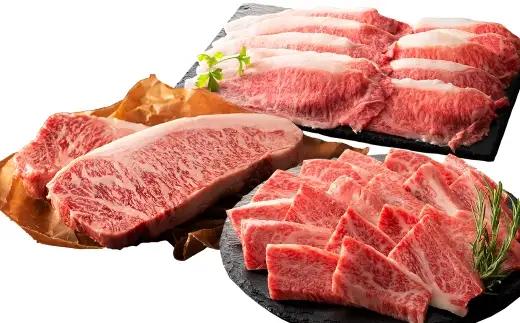 ＜ R8年熊本地震復興支援 ＞くまもと黒毛和牛 【 藤彩牛 】 サーロインステーキと2種の食べ比べセット （ サーロインステーキ ・ バラ焼肉用 ・ ローススライス ） お肉 肉 ニク にく 牛肉 牛 精肉 サーロイン ステーキ バラ カルビ 焼肉 BBQ バーベキュー ロース スライス 食べ比べ セット 詰め合わせ 冷凍