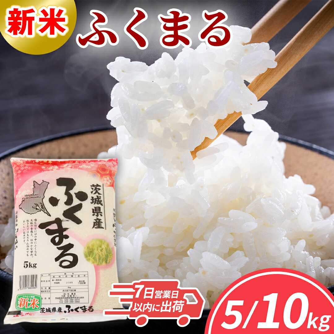 【ふるさと納税】≪新米≫ ふくまる 5kg 10kg (5kg×2袋) 令和8年産 米 茨城県 中央産 桂農産 コシヒカリ 大粒 精米 産地直送