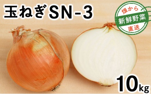 【先行予約】畑から直送の新鮮野菜！玉ねぎ（SN-3）10kg【a168-002】 10kg