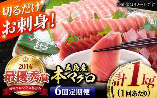 【6回定期便】本マグロブロック詰合せ1kg（養殖） 五島市[PCL010]マグロ まぐろ 鮪 柵まぐろ 養殖マグロ まぐろ刺身 さく さしみ 五島 五島列島 養殖 冷凍 人気 おすすめ 魚 鮮魚