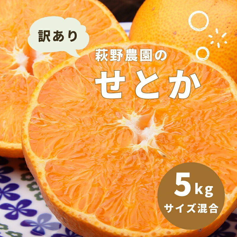 【ふるさと納税】 【先行予約】せとか 萩野農園の 訳あり せとか 5kg サイズ混合【2027年3月上旬から3月末頃までに順次発送予定】 みかん ミカン 蜜柑 柑橘 果物 くだもの フルーツ サイズ 不揃い 家庭用 ご家庭用 訳あり 訳アリ 予約 人気 ジューシー 甘い 送料無料