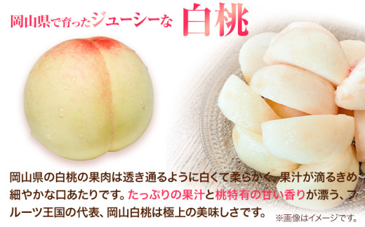 先行予約 岡山県産 白桃（1玉220g以上8玉入りロイヤル） 桃 もも 果物 フルーツ 令和8年産先行受付《2026年7月中旬-8月下旬頃出荷》【配送不可地域あり】H-25b