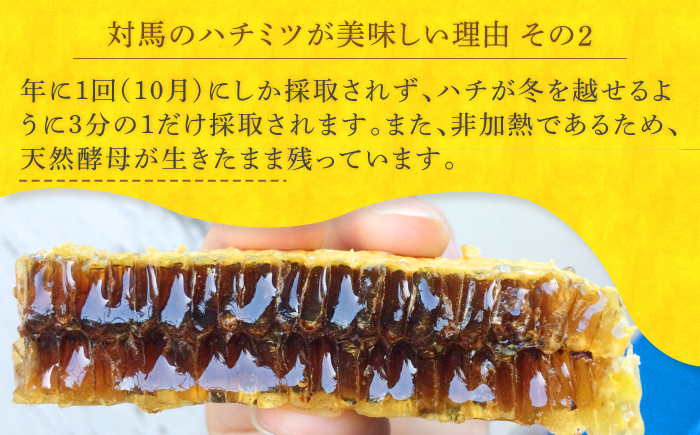 対馬 ニホンミツバチ 巣蜜 はちみつ 稀少 つしま 《対馬市》【特定非営利活動法人 對馬次世代協議会（対馬コノソレ）】九州 長崎 スイーツ トッピング 朝食 おやつ [WAM022]