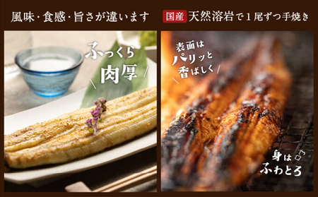 うなぎ 朝じめ鰻 溶岩焼きコンビセット 約140g×3尾 蒲焼き うなぎ