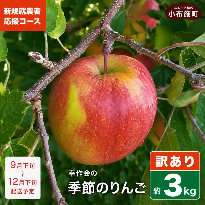 【訳あり】 季節のりんご 約3kg ［新規就農者応援コース 幸作会］ 果物 フルーツ りんご 林檎 リンゴ 長野県産 信州産  令和8年産【2026年9月下旬～12月下旬発送】 ［KH-51］