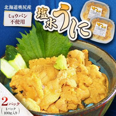 ふるさと納税 奥尻町 【期間限定・配送日指定不可】奥尻産「塩水うに」100g入り 2パック