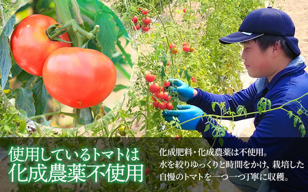 【ヴィーガン認証】窪畑トマトのカレーソース　辛口（180g×5 個）　K-747　株式会社山本組