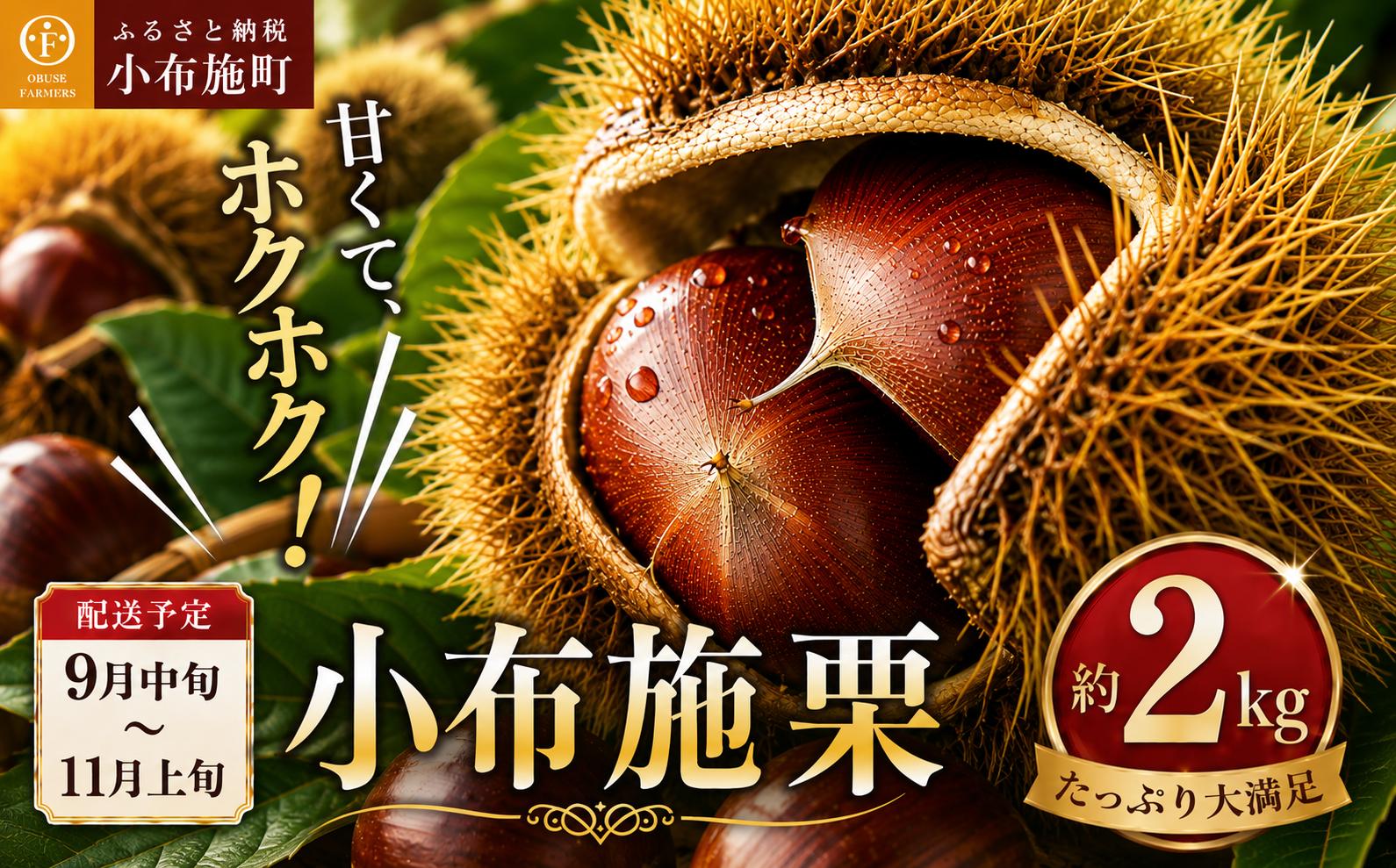 
                  小布施栗 約2kg［おぶせファーマーズ］ 果物 フルーツ 栗 生栗 長野県産 信州産 令和8年度【2026年9月中旬〜11月上旬発送】［F-37］
                