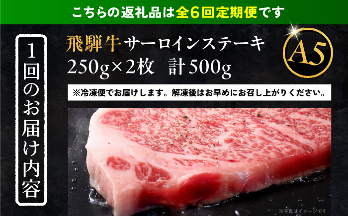 【6回定期便】 飛騨牛 サーロインステーキ (A5ランク) 250g×2枚 和牛 国産 霜降り 恵那市 / 岩島屋 [AUAJ028]