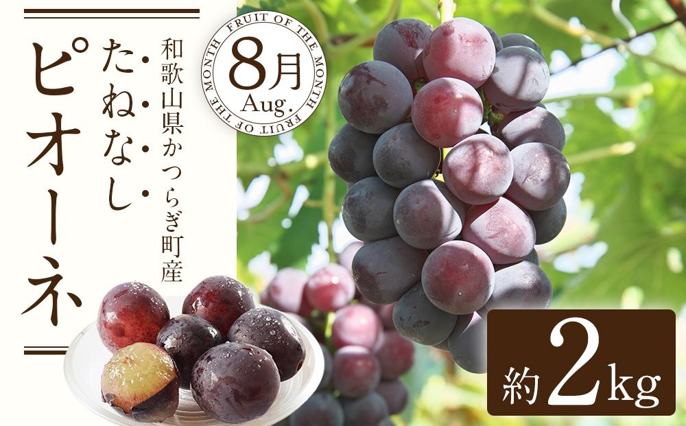 【定期便全3回】産直・厳選フルーツ定期便【TM190】