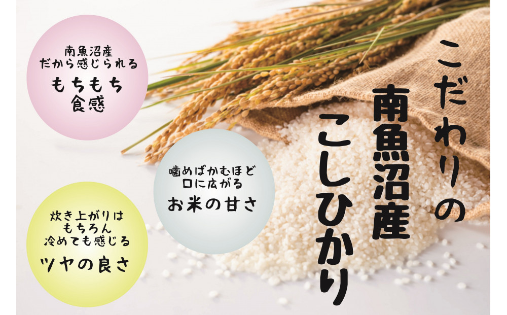 【令和7年産米】南魚沼産コシヒカリ特別栽培米 白米 2kg×2袋 計4kg