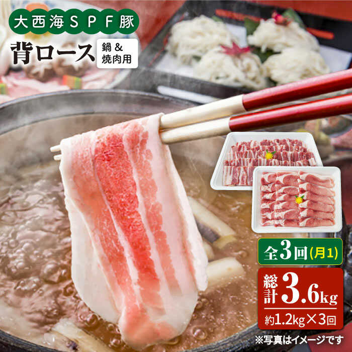 【ふるさと納税】【訳あり】【月1回1.2kg×3回定期便】大西海SPF豚 背ロース（焼肉＆しゃぶしゃぶ用）＜大西海ファーム＞ [CEK098]