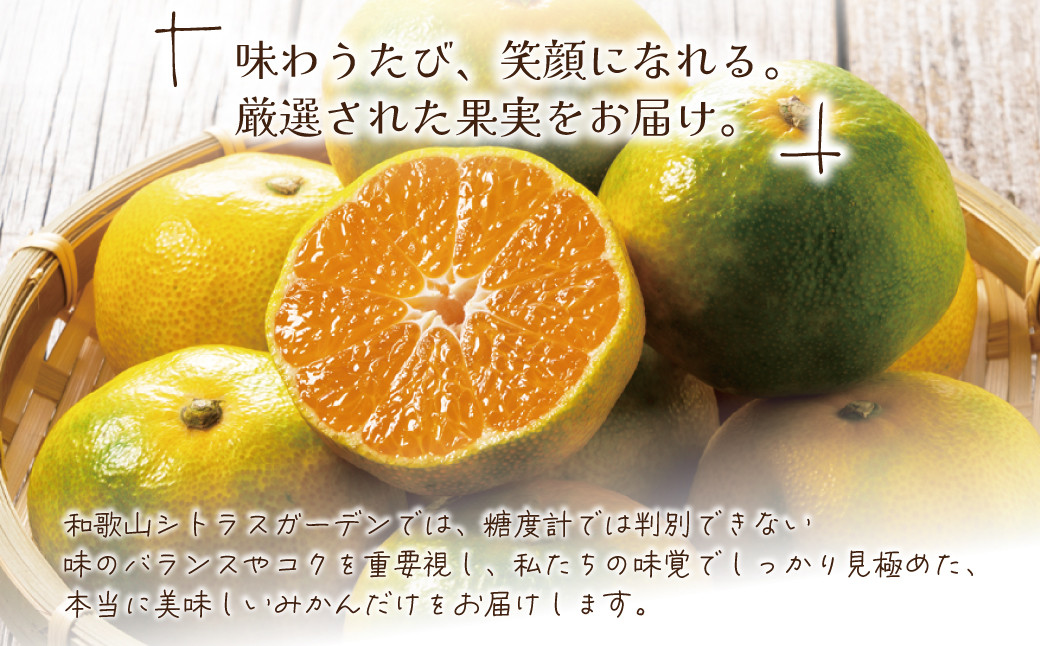 和歌山県産 極早生みかん 家庭用 Mサイズ 3kg ［Sn13］