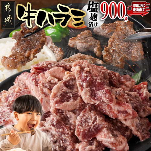 牛ハラミ 塩麹タレ漬け900g≪みやこんじょ特急便≫_LG8-3309-Q