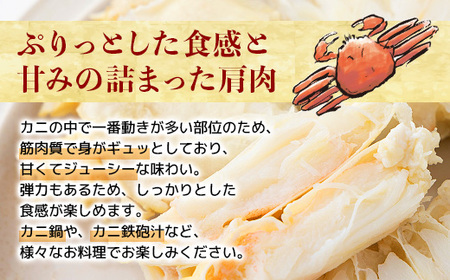 量が選べる！本ズワイガニ 肩肉 1kg（1000g） カニ用フォーク付き！ 年末年始 お歳暮 正月 ギフト 2025