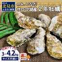 【予約：2023年11月上旬から順次発送】サロマ湖産殻付き2年牡蠣4.2kg※牡蠣ナイフ付 ( カキ かき 4.2キロ 魚介 海鮮 貝 ふるさと納税 BBQ バーベキュー )