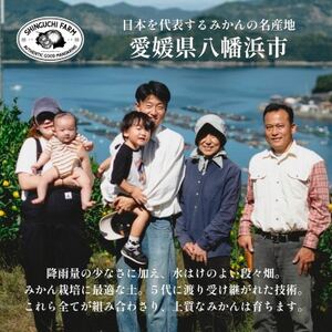 【発送月固定定期便】「時期、種類による味の違いを楽しむ」愛媛みかん食べ比べ【H70-80】全3回【4067801】