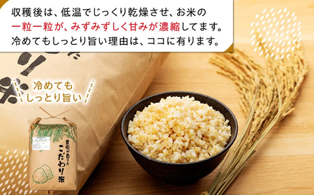 AB1-015 特別栽培米　コシヒカリ（玄米）30kg